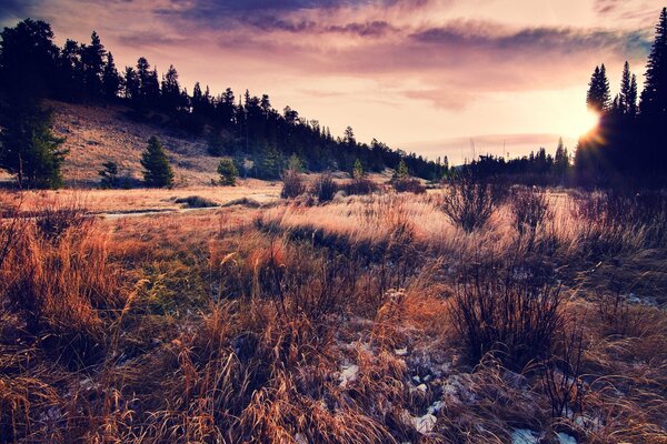 The landscape depicts a sunset, grass, sky, sun