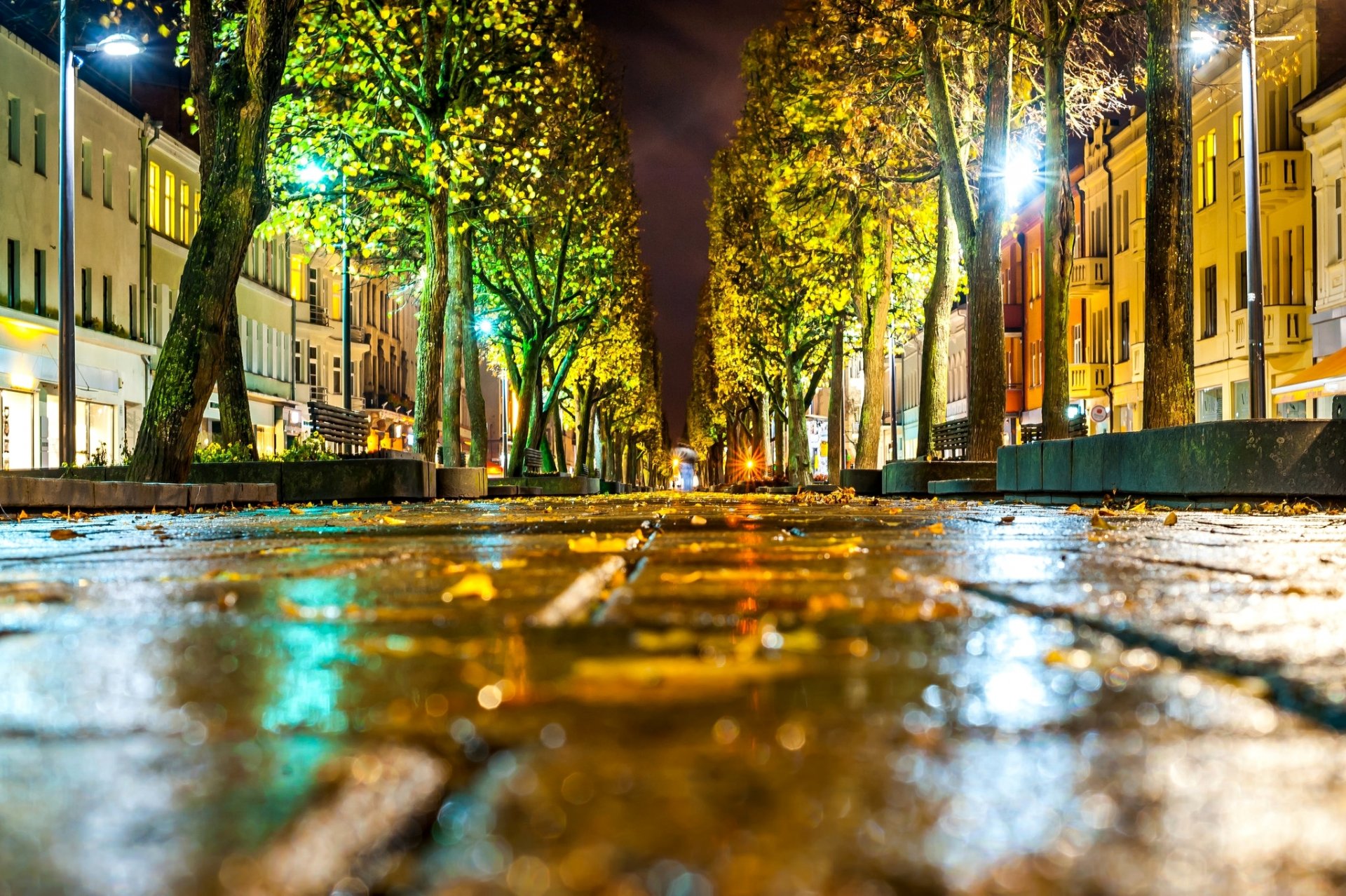 lietuva kaunas lituanie ville route rue asphalte gros plan bokeh feuilles arbres lanternes lumière maison bâtiment automne