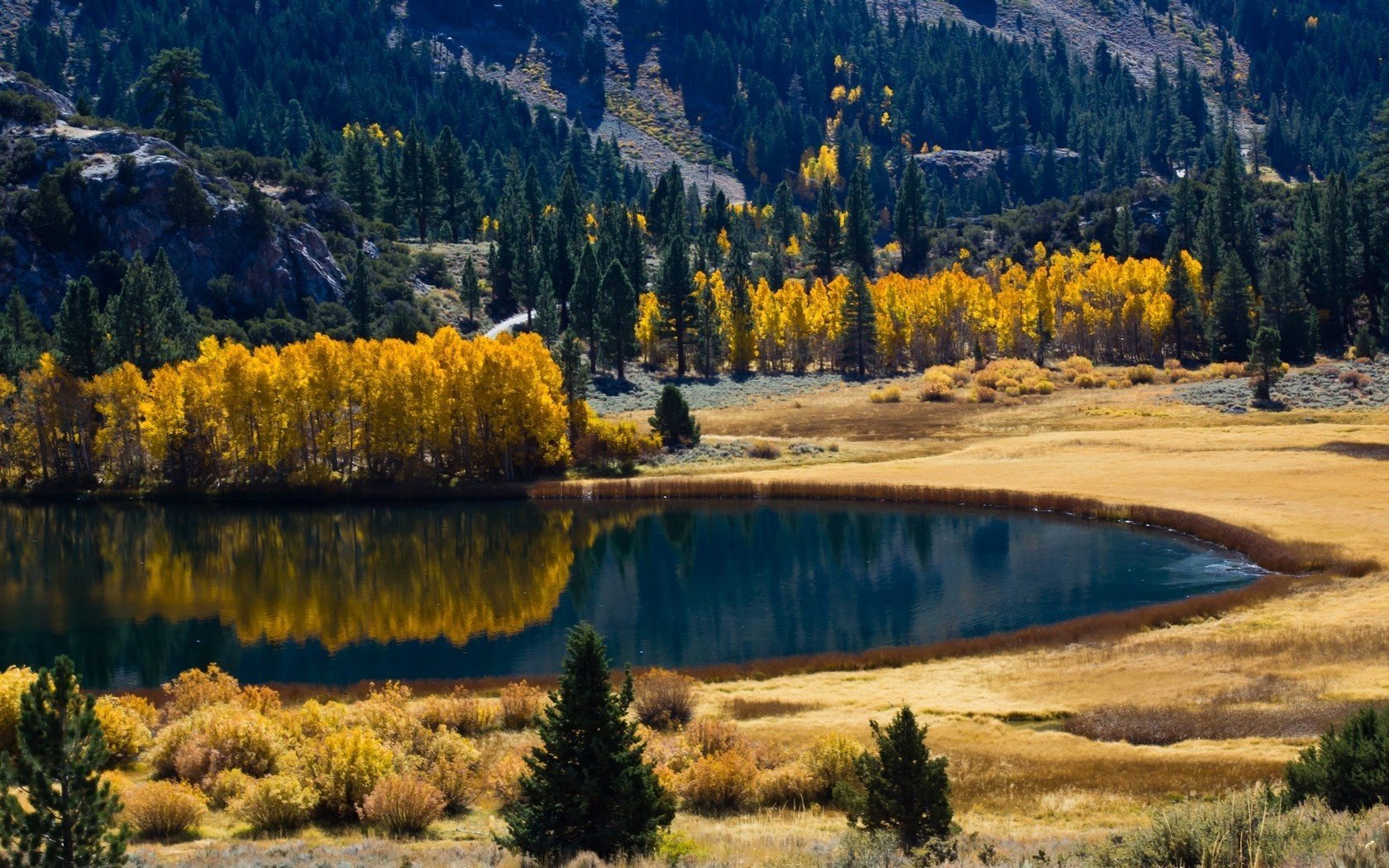 bosque otoño naturaleza lago