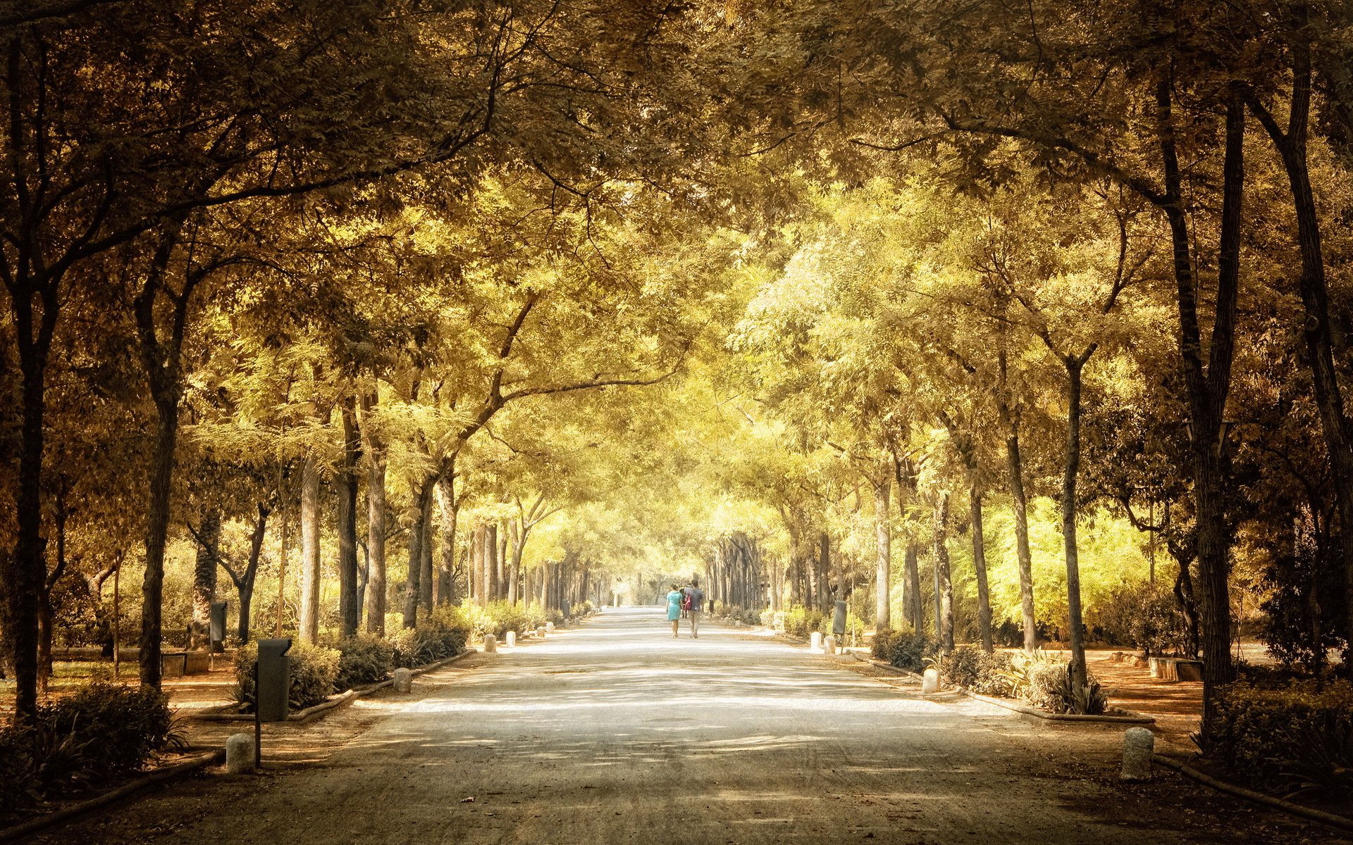 town park autumn