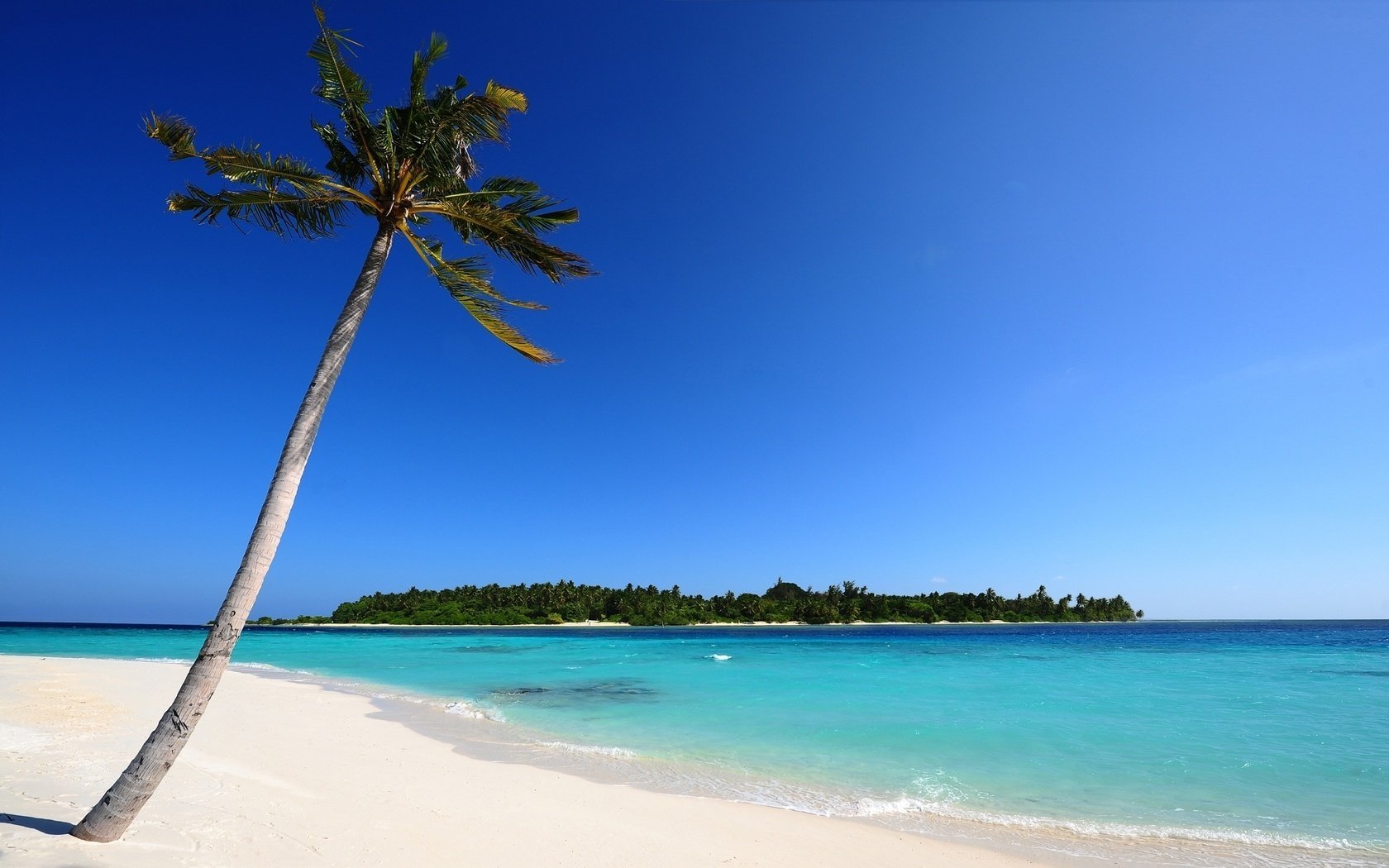 spiaggia mare palma sabbia maldive