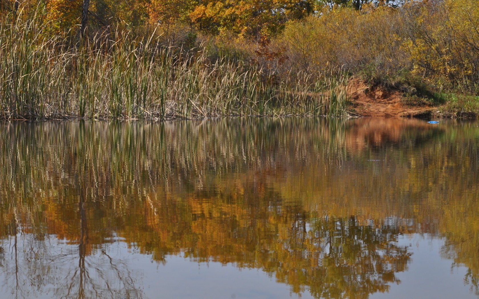 mare autunno natura