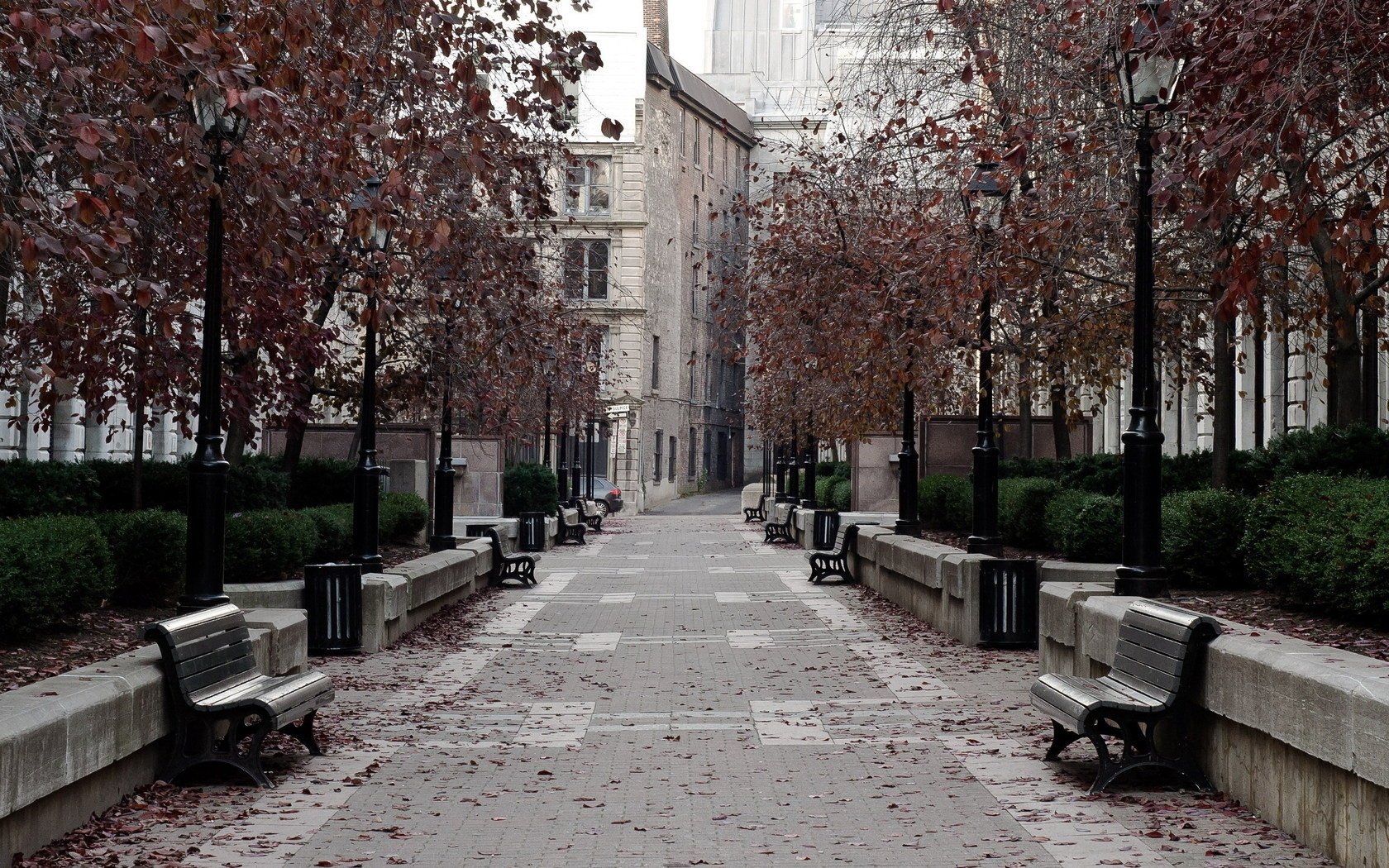 straße straße bänke stadt park