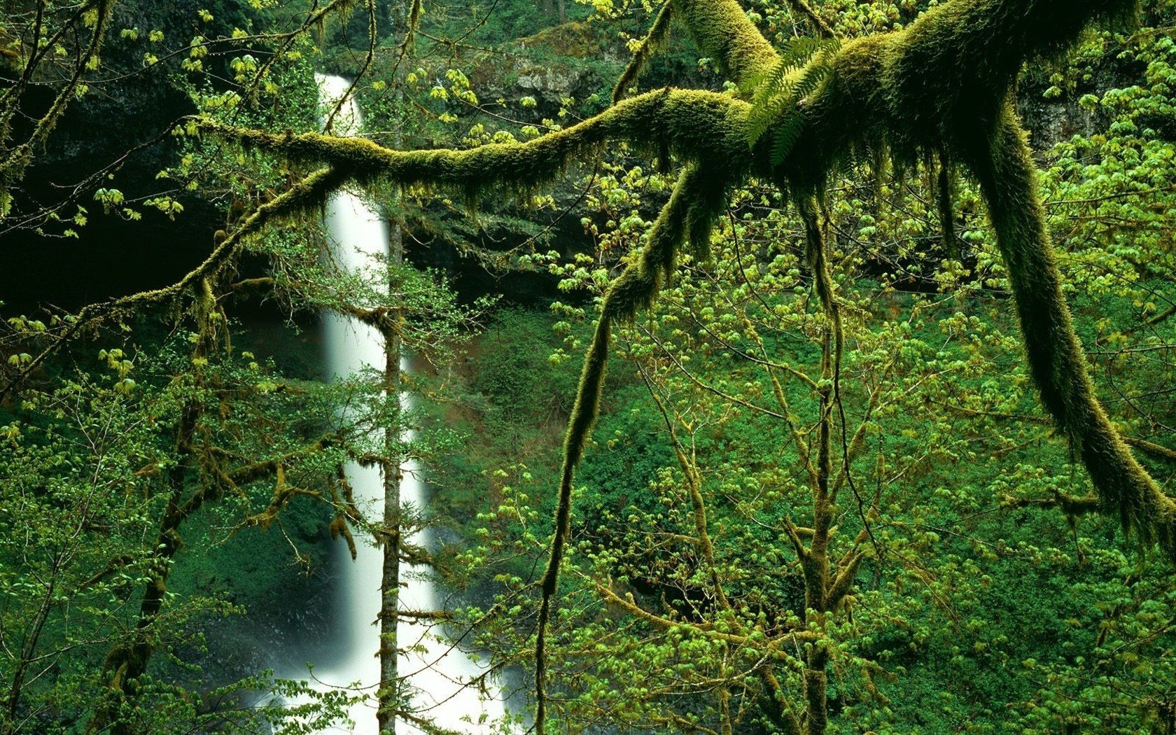 landscape waterfall beautiful