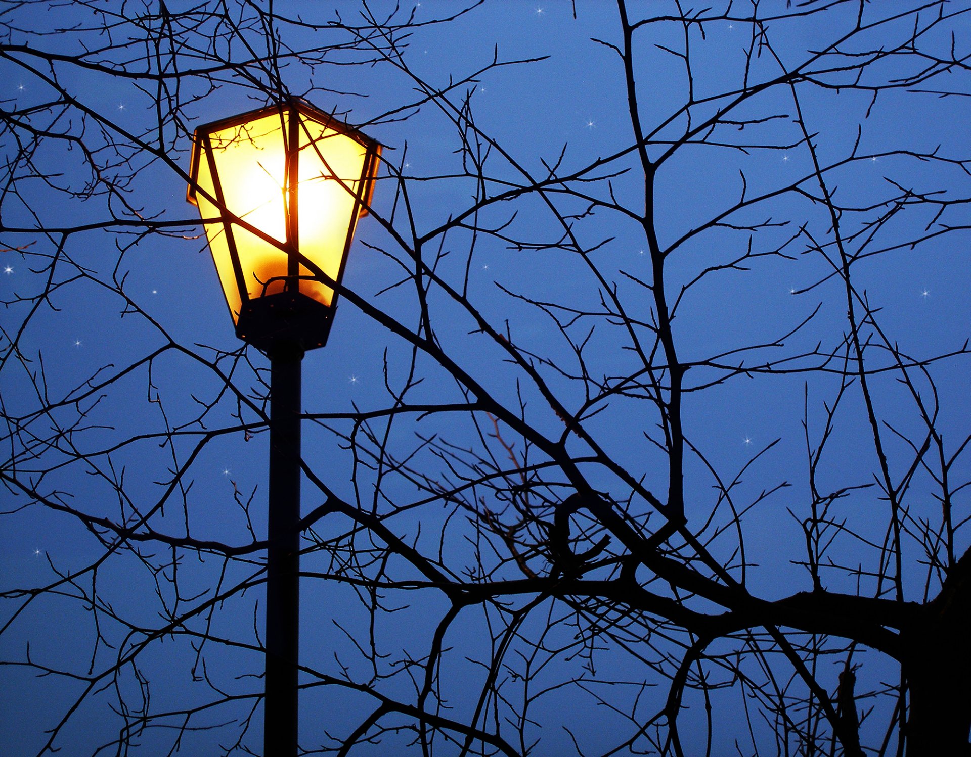 notte lanterna rami stelle