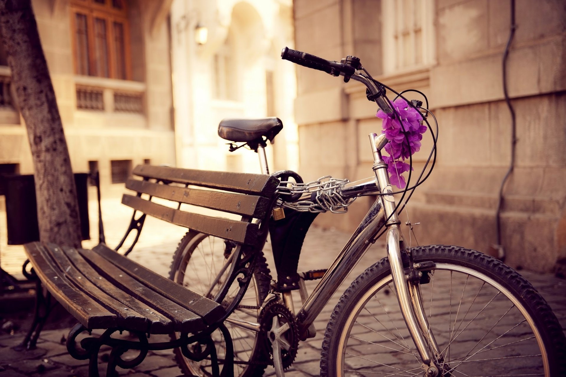 vélo banc rue chaîne fleurs ville
