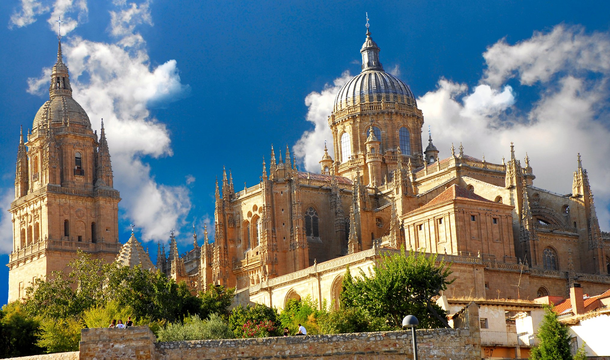 pain españa salamanca salamanca catedral cathedral town gothic landscape architecture
