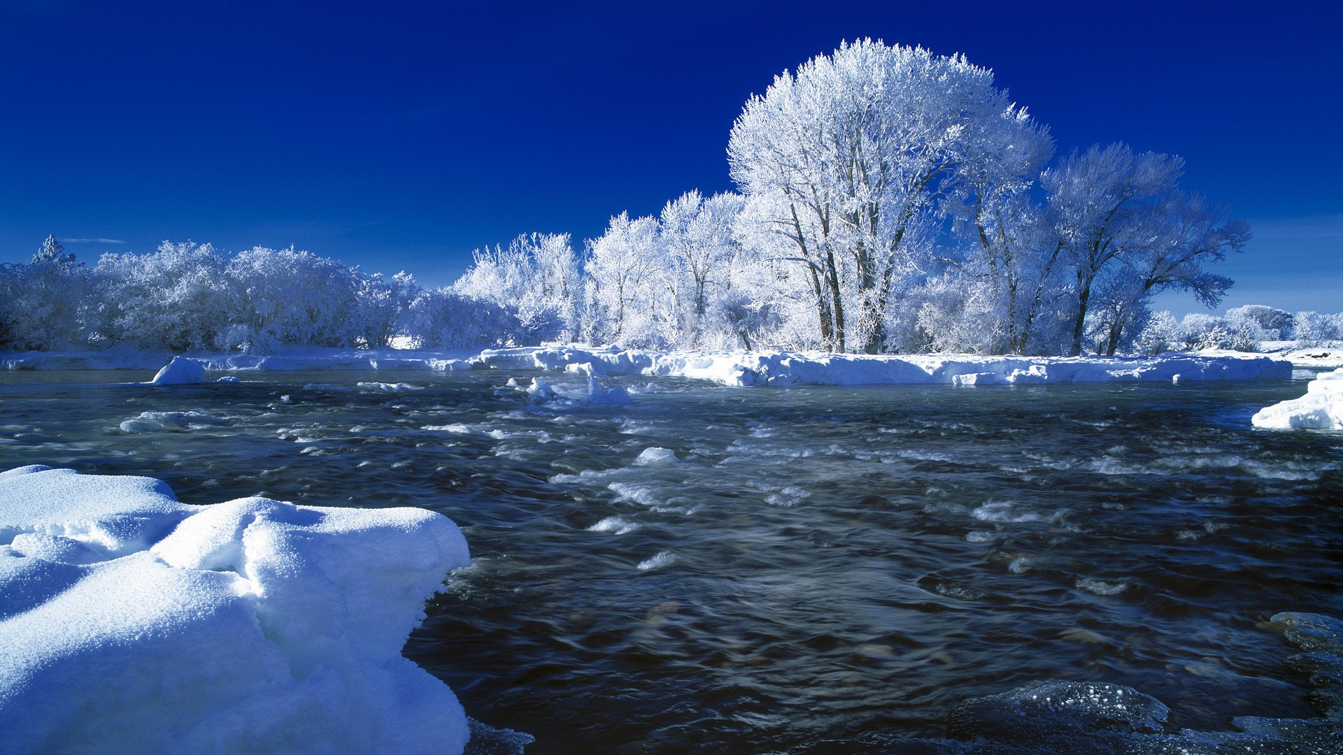 fiume inverno neve alberi