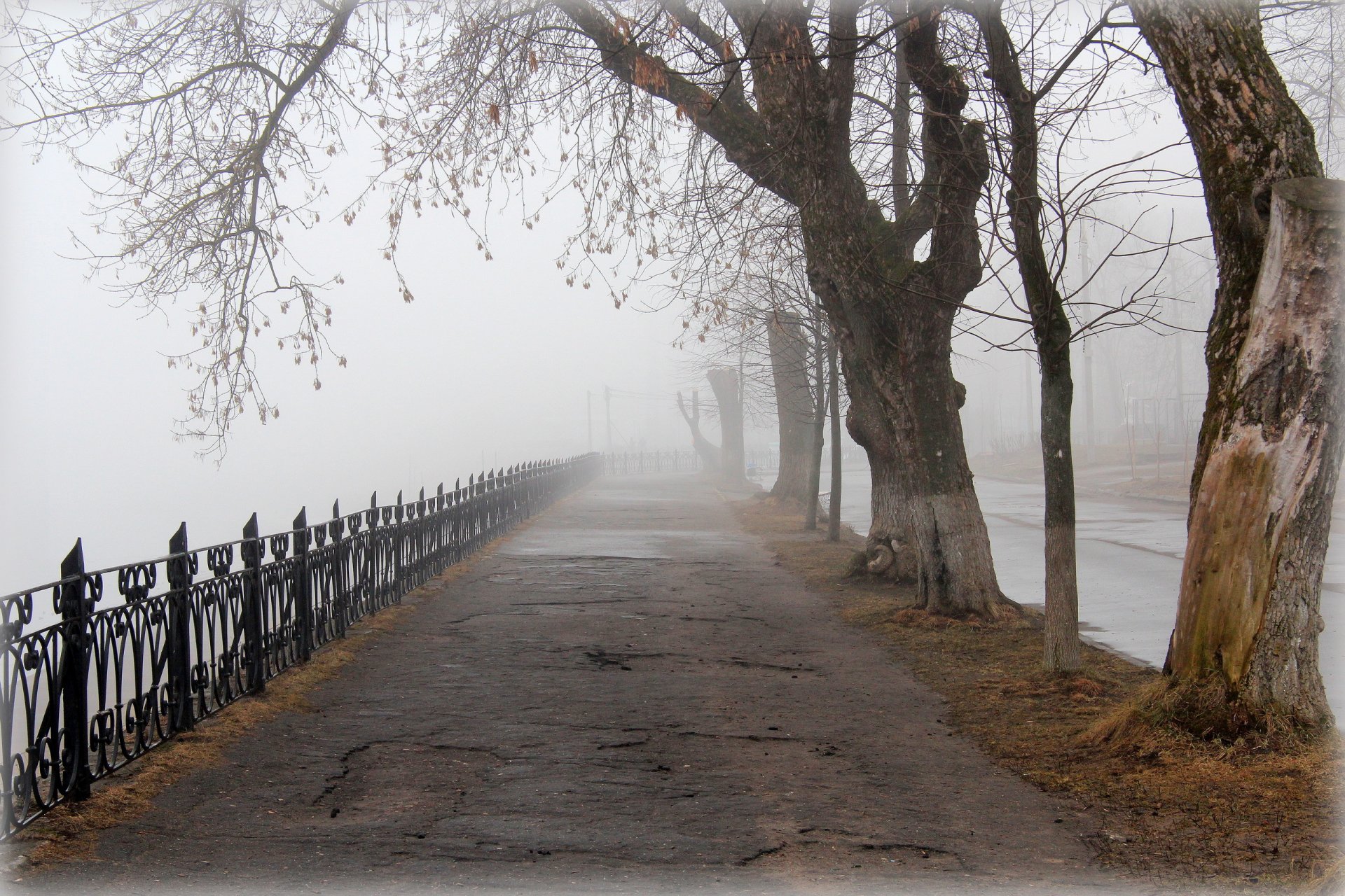 callejón primavera ciudad gorsad tver niebla
