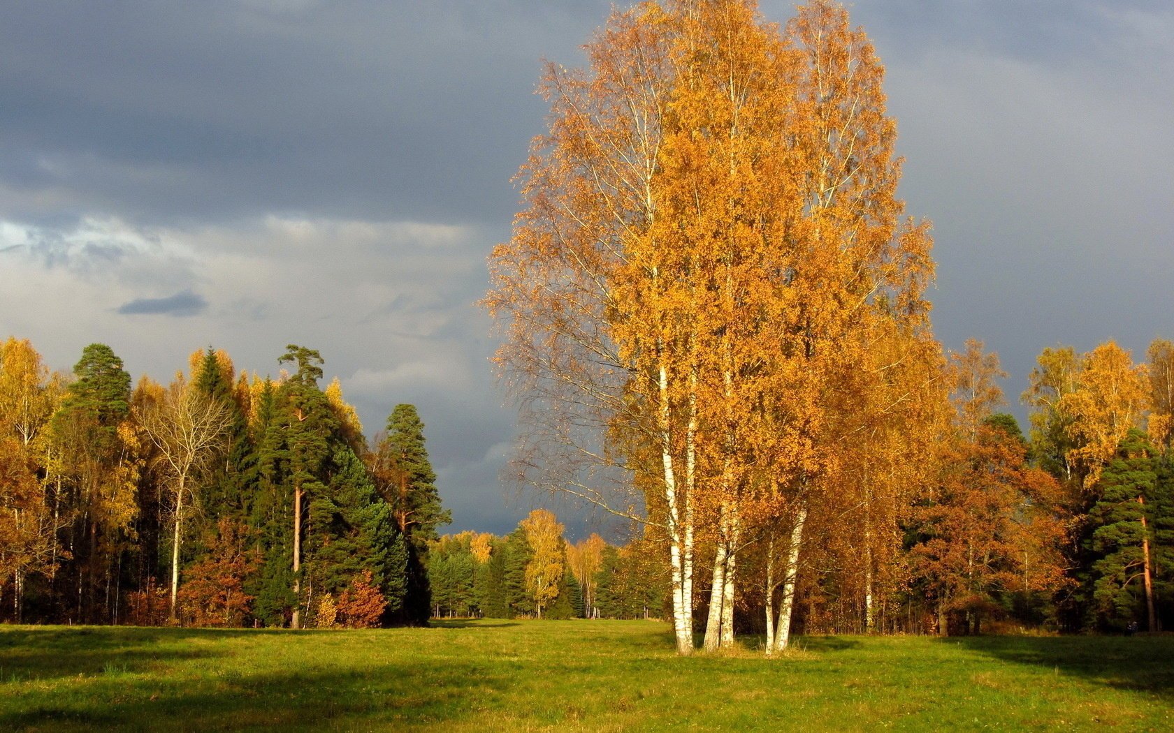 pavlovsk russia les san pietroburgo