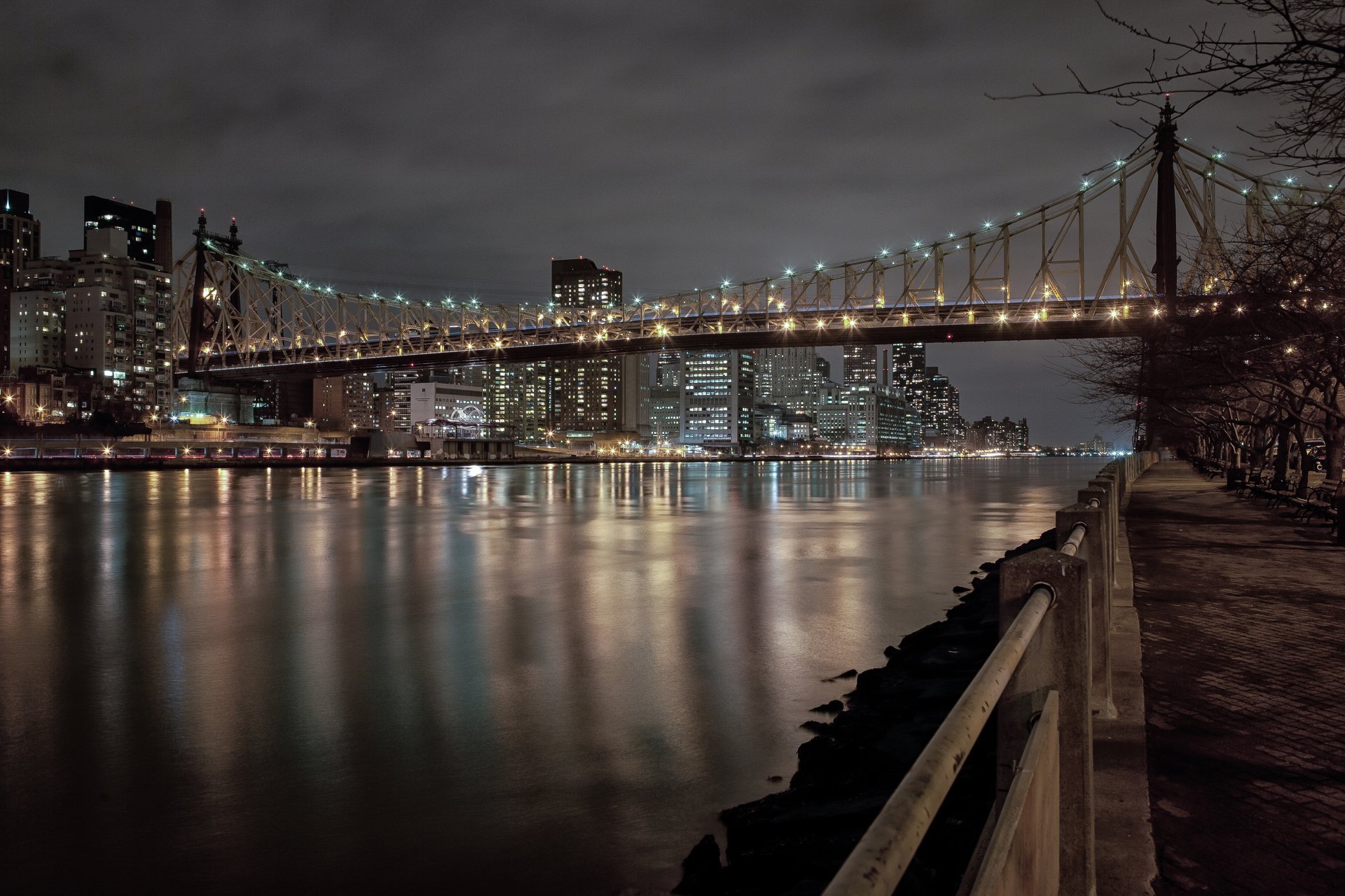 new york roosevelt east river ponte città luci notte parco panchine luci edifici