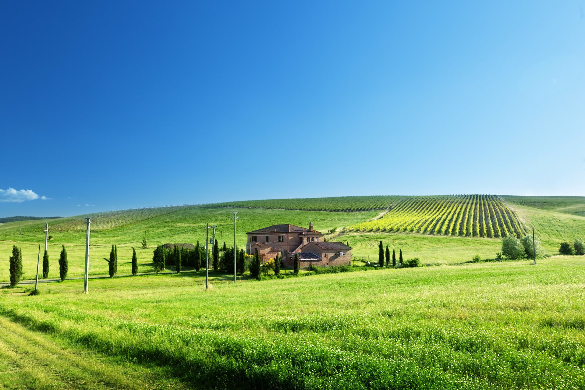the vineyards house field grass post