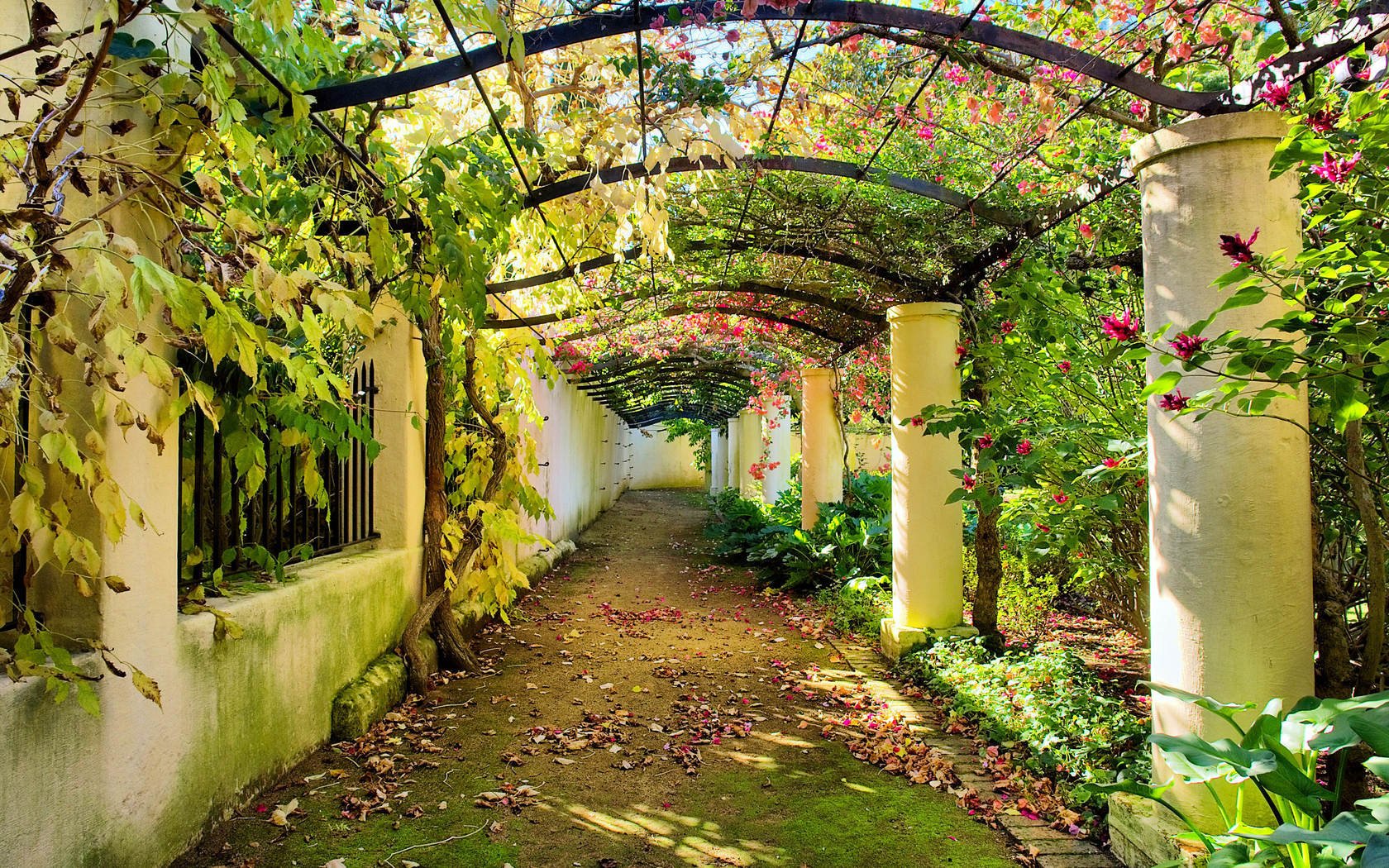 camino arco otoño hojas jardín
