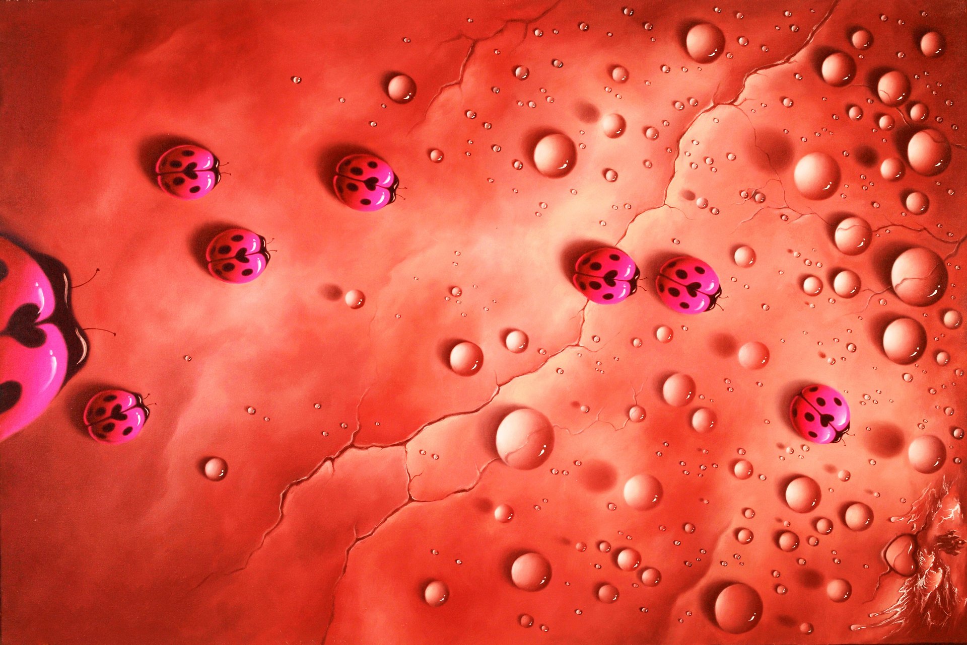 ladybugs water christopher pollari drop