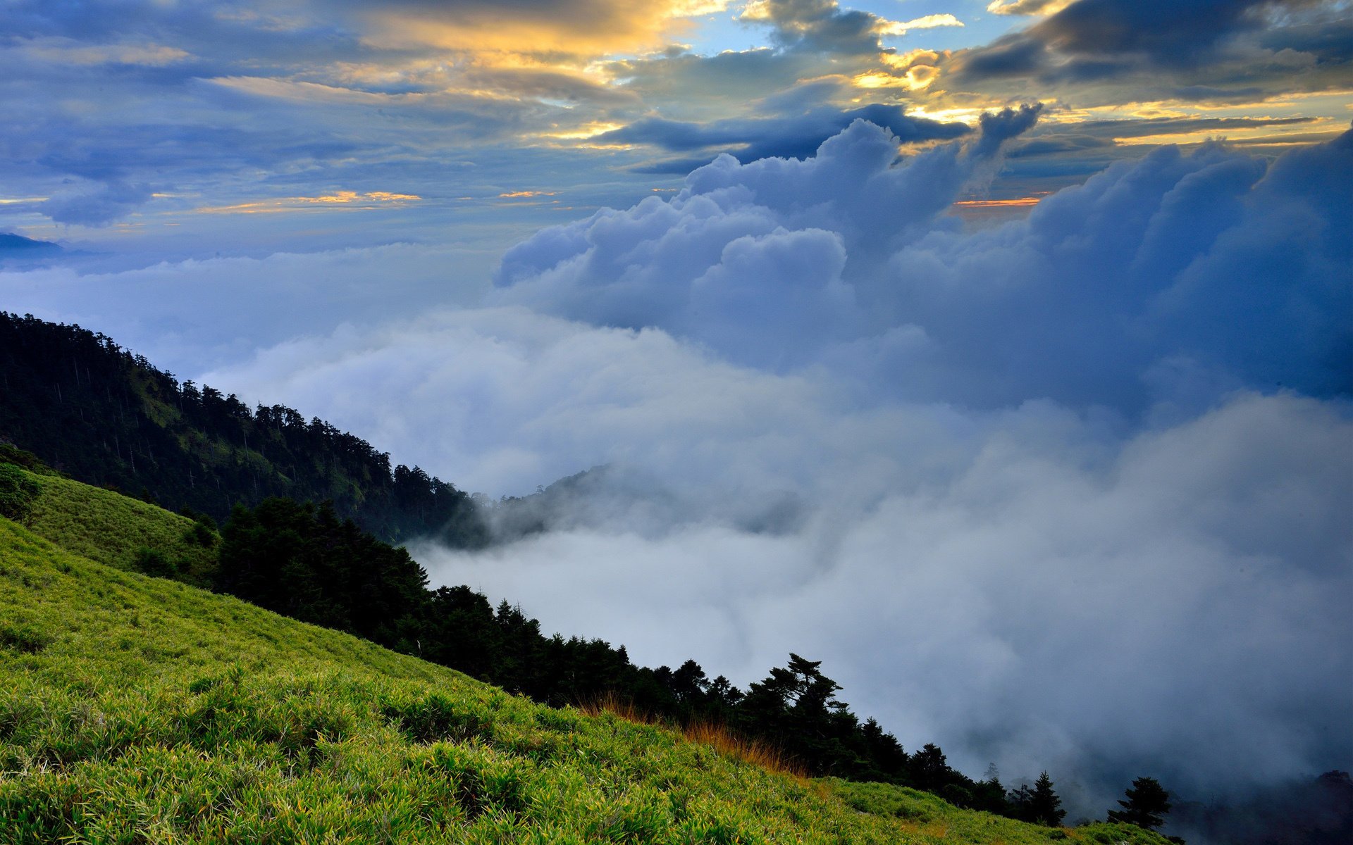 hierba colinas naturaleza vegetación nubes niebla