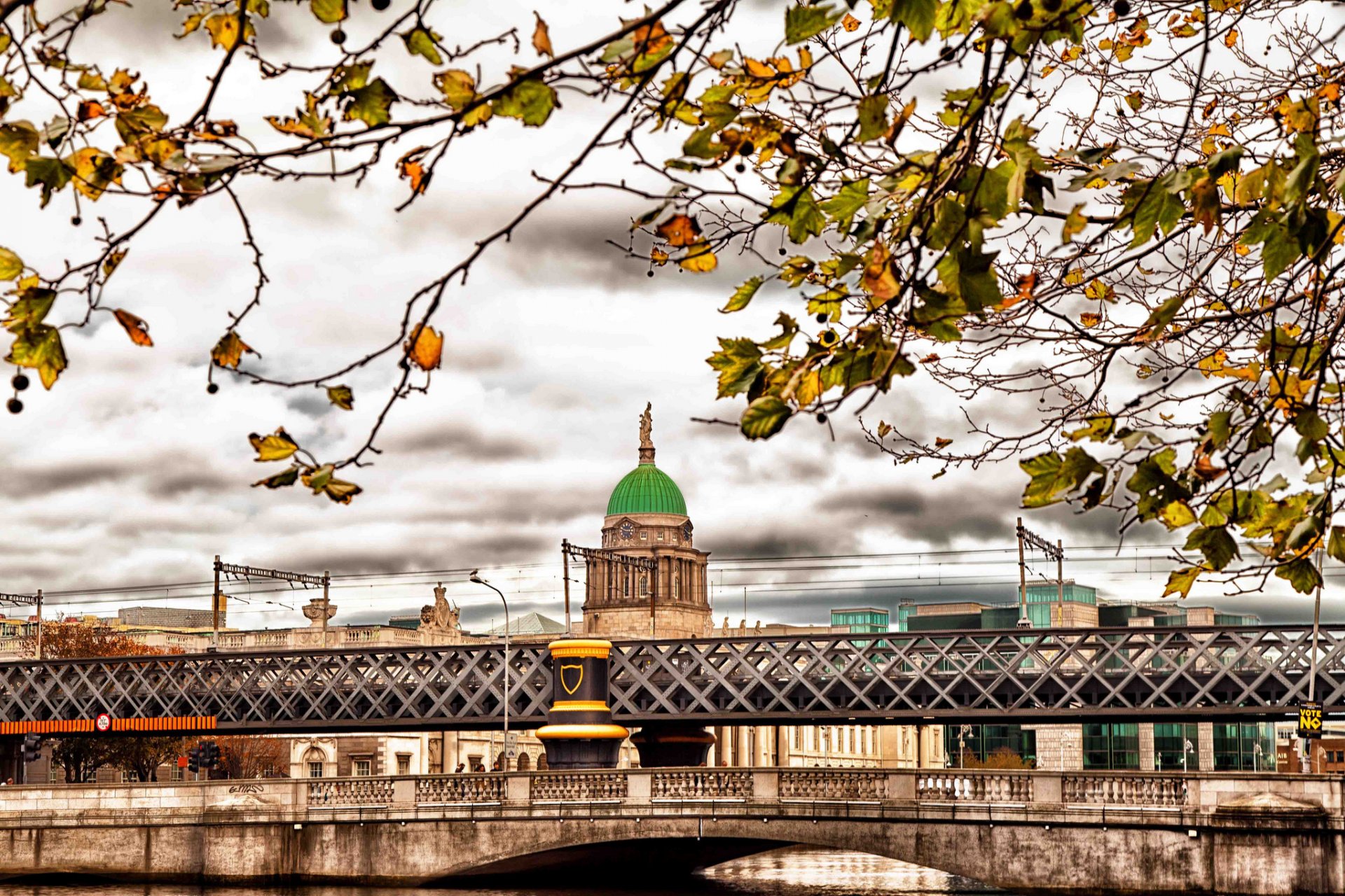 irlande dublin automne branches feuilles pont