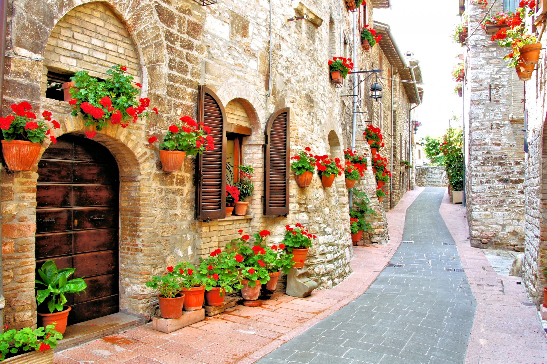 italy house lane pots flower red geranium