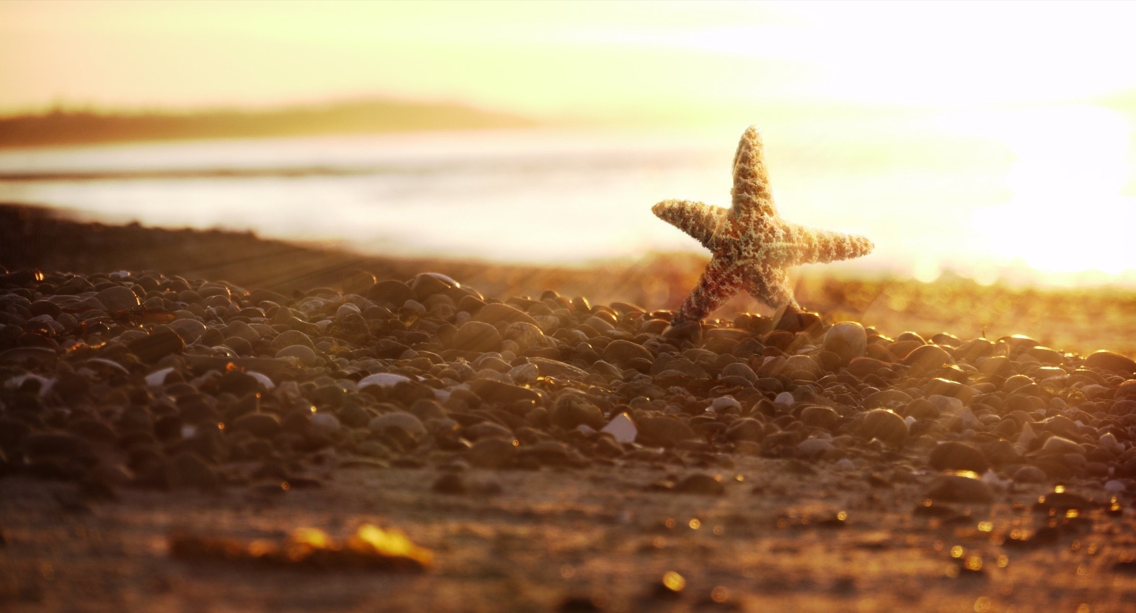 pietre stelle marine costa tramonto sole