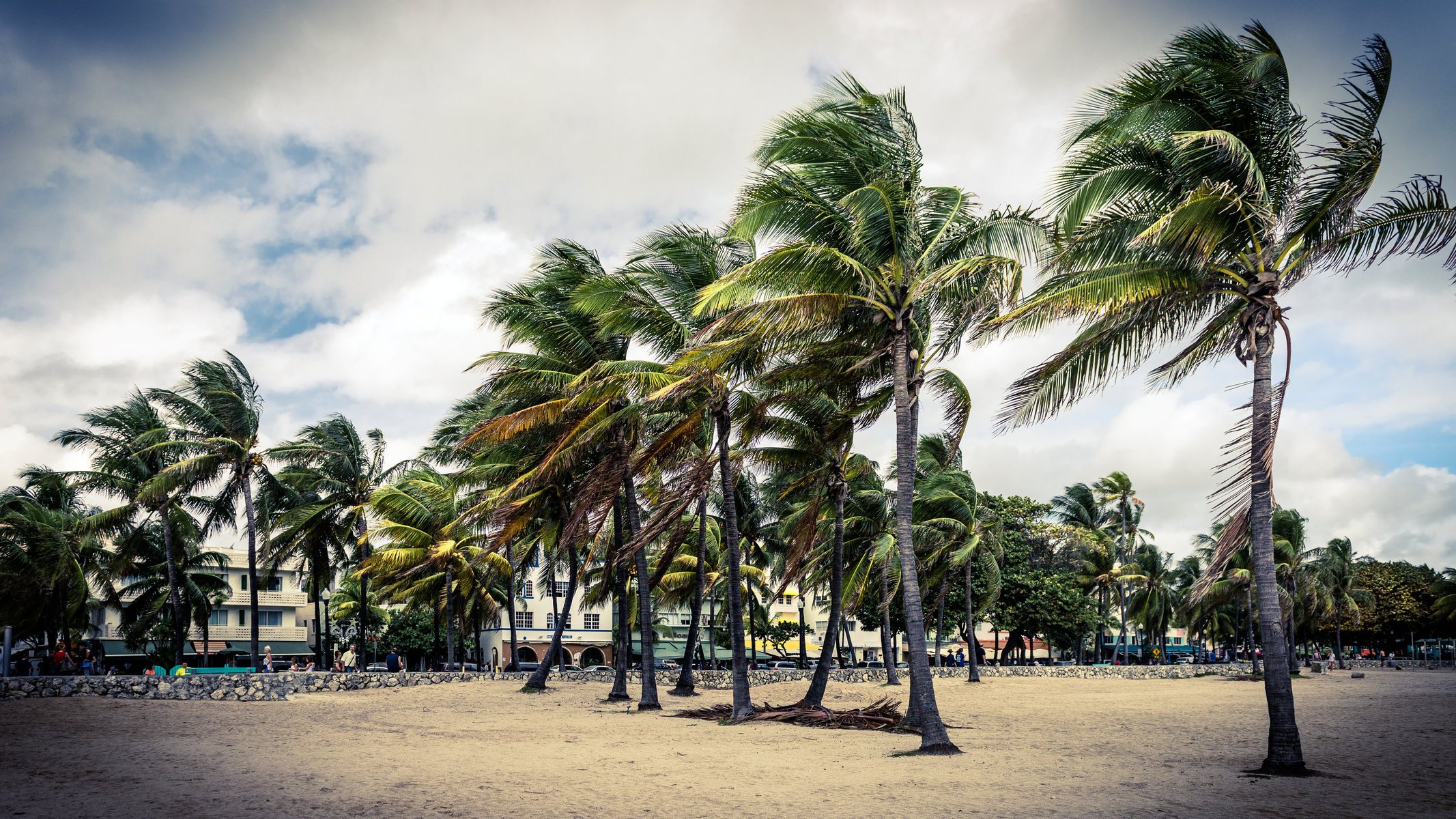 art déco palmier miami plage floride usa ciel nuage homme rue bâtiment maison sable parc art déco palmier palmiers gens
