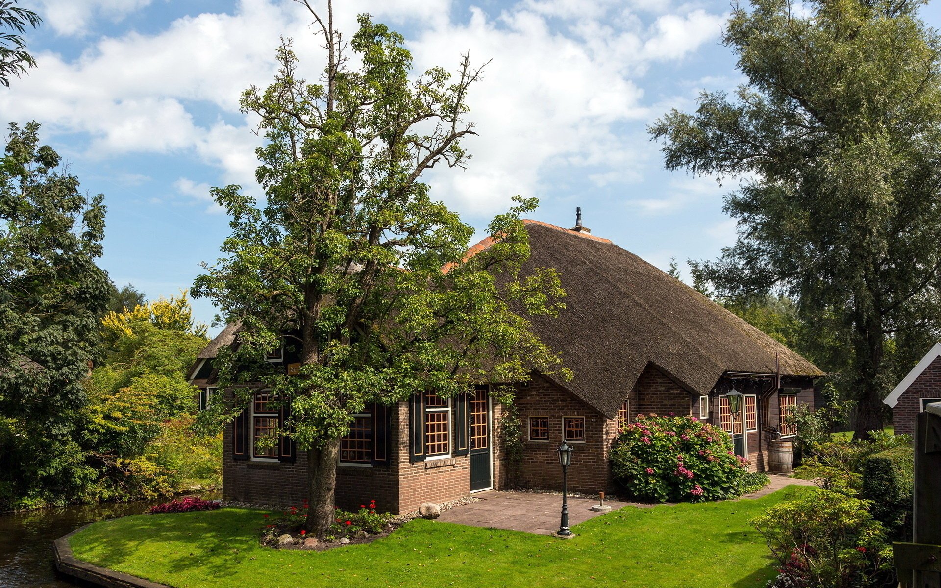 kanal baum haus stadt