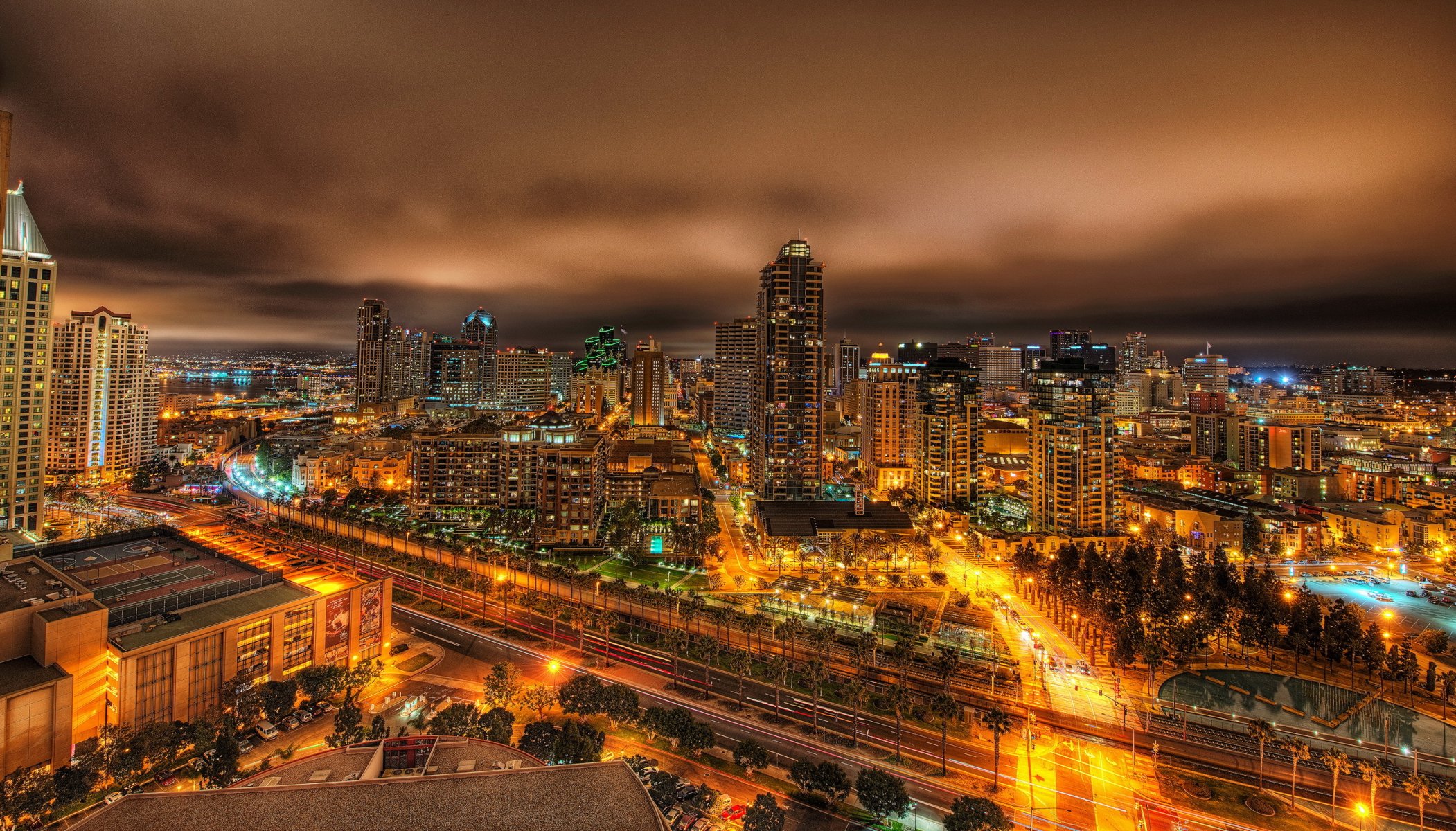 usa california san diego city united states night panorama house high-rise buildings lights road palm metropolis street