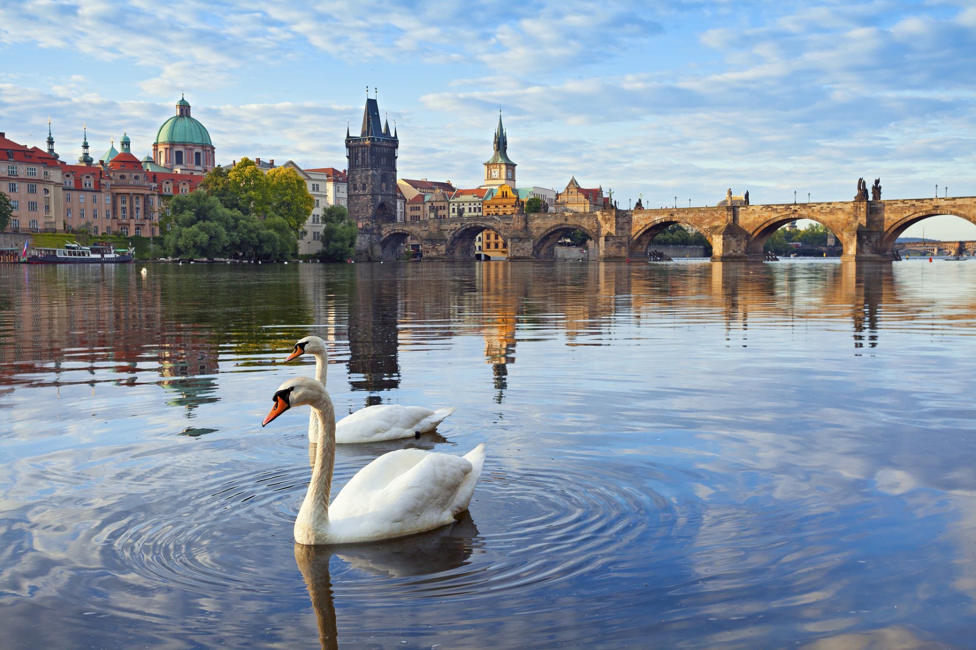 prag tschechische republik karlsbrücke turm häuser fluss moldau schwäne