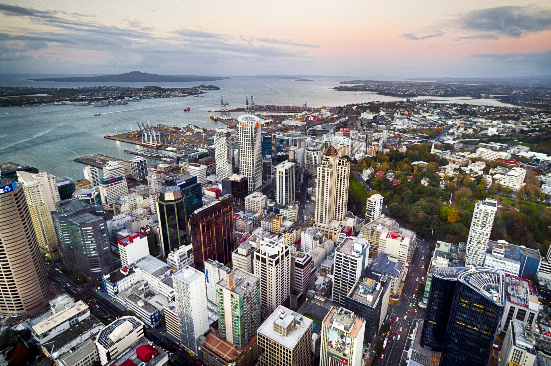 auckland nueva zelanda bahía casas calles barrio panorama