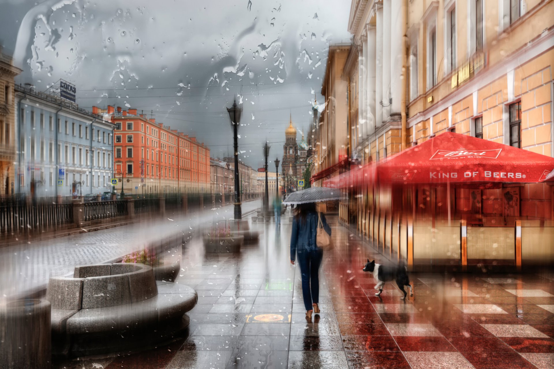 saint-pétersbourg fille gouttes parapluie pluie russie