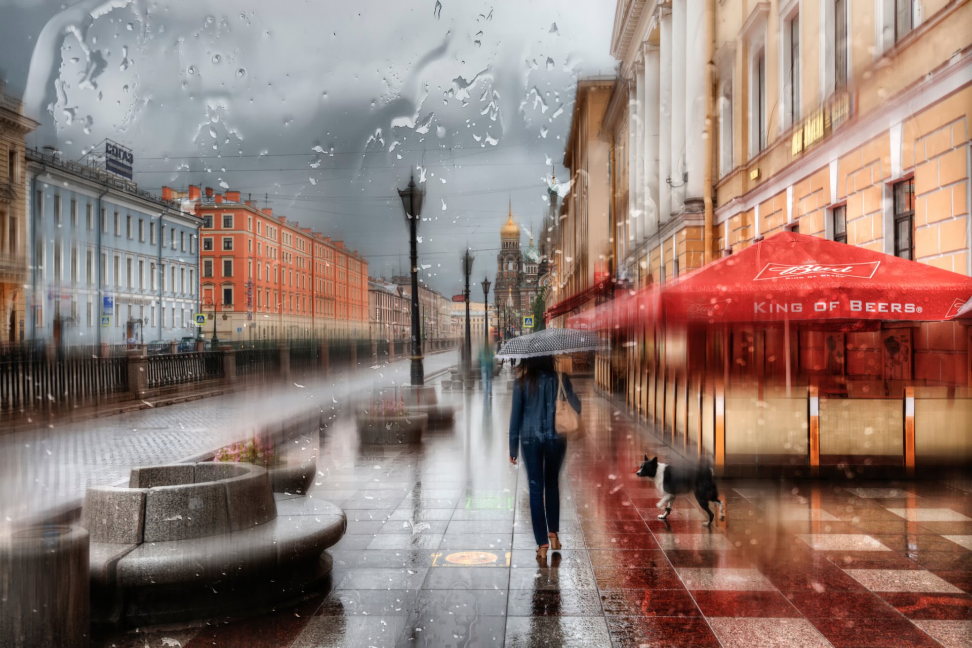 st. petersburg mädchen tropfen regenschirm regen russland