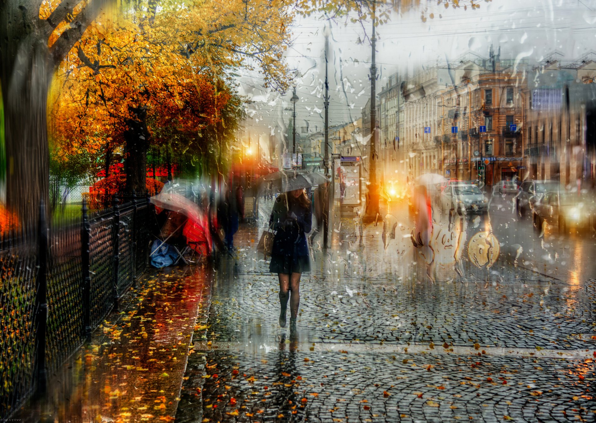 saint-pétersbourg pluie d automne fille parapluie gouttes
