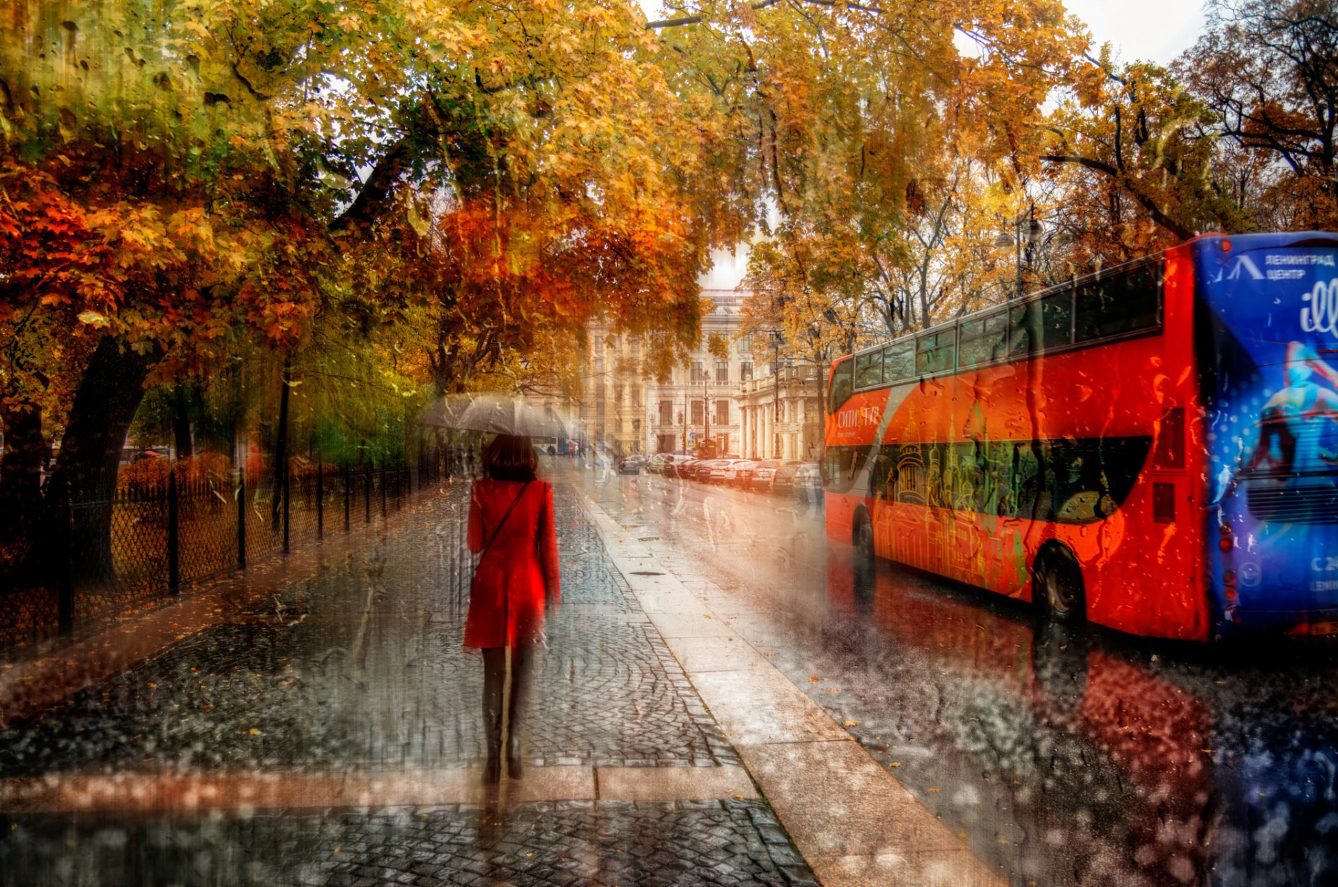 t. petersburg girl rain autumn october