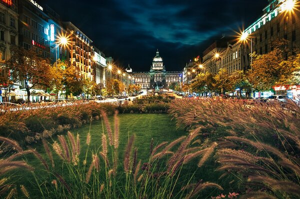 Eine außergewöhnliche Nacht in Prag. Es brennen viele Laternen. Im Vordergrund die Ähren