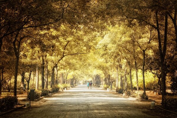 Il vecchio parco cittadino è immerso nel verde