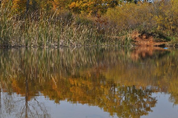 Herbstliche Natur in Primorje