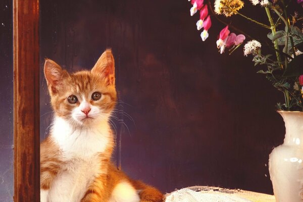 Chaton biélorusse à côté du vase