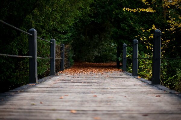 Eine Holzbrücke, die in die Dunkelheit führt
