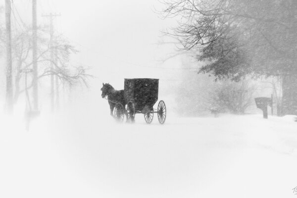 Roulez en calèche sur une route enneigée