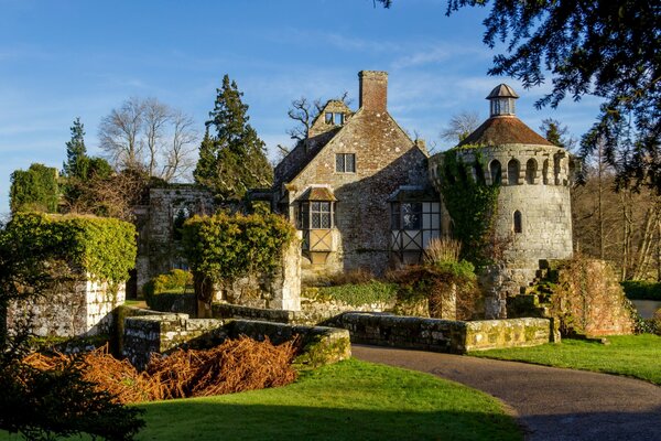 Ancien Château en Angleterre dans la forêt