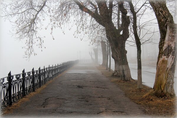 Allée de la ville de printemps dans le brouillard