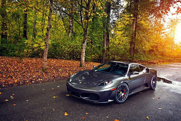 Silver Ferrari 430 im Herbst