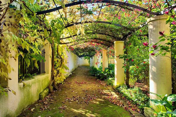 A path leading straight into autumn