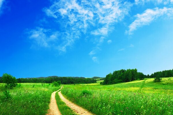 Road, field and clear sky