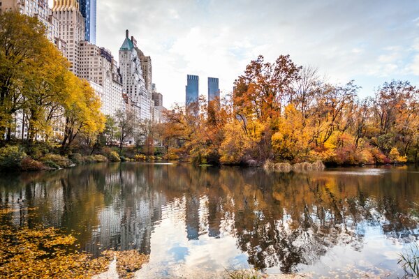 Automne à New York, vue du parc sur les gratte-ciel