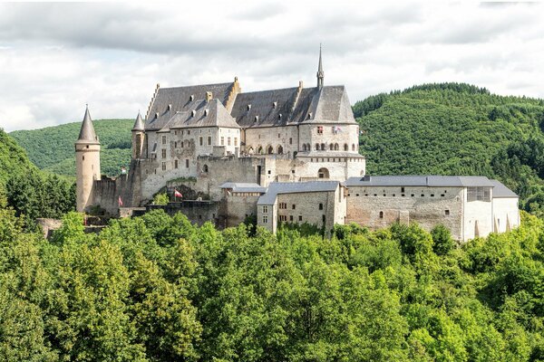 Castillo de Luxemburgo rodeado de un bosque verde