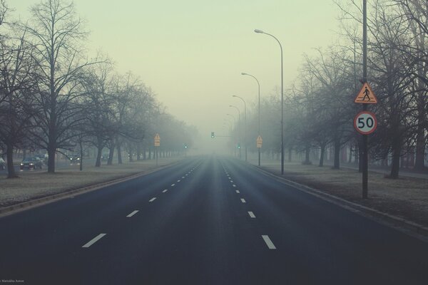 El camino en la niebla foto de la mañana