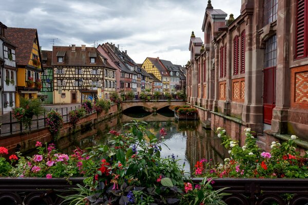 Rues uniques de la ville avec des fleurs