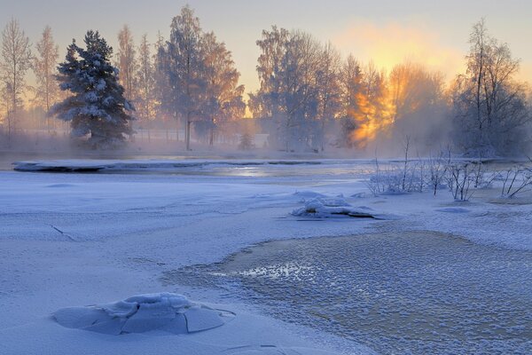 Bellissimo paesaggio invernale Svedese