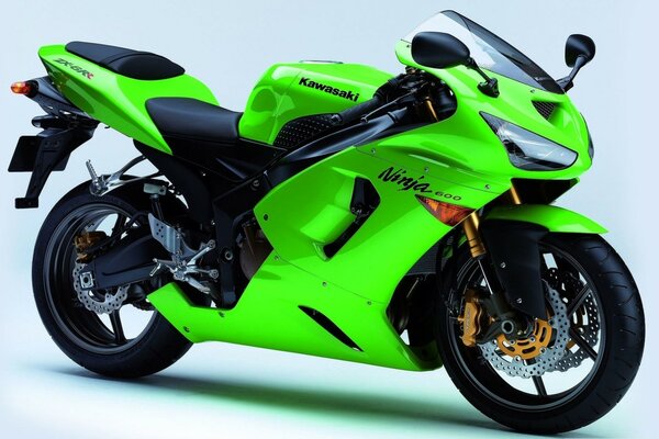 Green Kawasaki is beautiful and chic