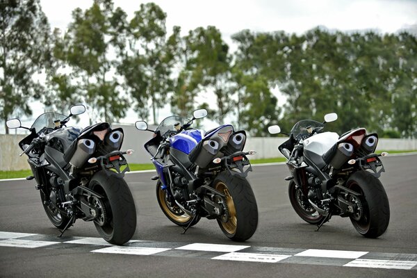 Three motorcycles are on the race track