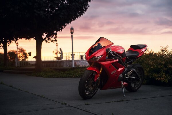 Rotes Motorrad am Baum bei Sonnenuntergang